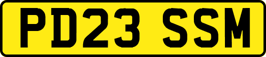 PD23SSM