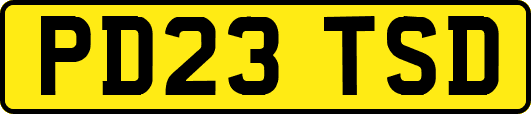 PD23TSD