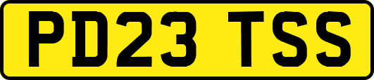 PD23TSS