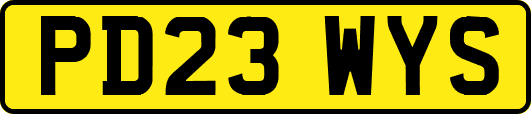 PD23WYS