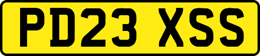 PD23XSS