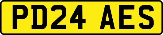 PD24AES