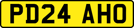 PD24AHO
