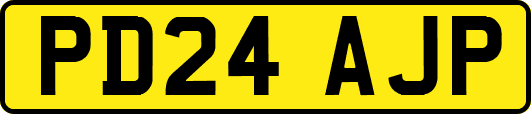 PD24AJP