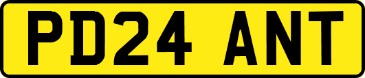 PD24ANT