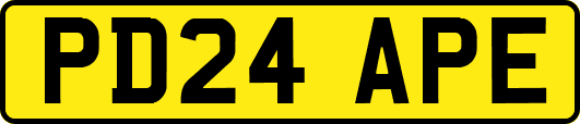 PD24APE