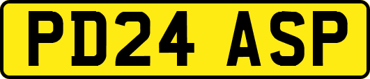 PD24ASP