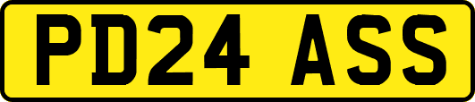 PD24ASS