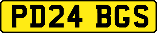 PD24BGS