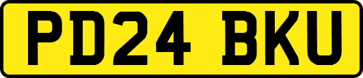 PD24BKU
