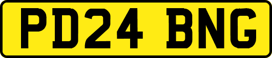 PD24BNG