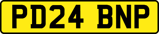 PD24BNP