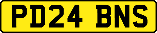 PD24BNS