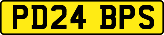 PD24BPS