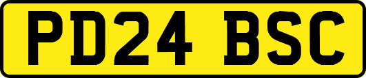 PD24BSC