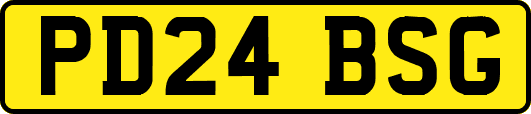 PD24BSG