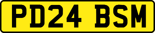 PD24BSM