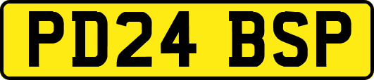 PD24BSP