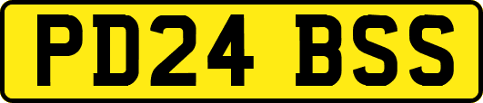 PD24BSS