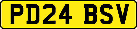 PD24BSV