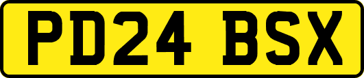 PD24BSX