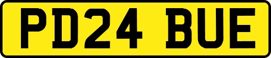 PD24BUE