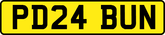 PD24BUN