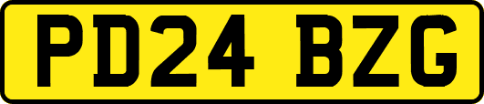 PD24BZG
