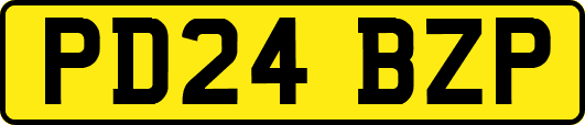 PD24BZP