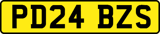 PD24BZS
