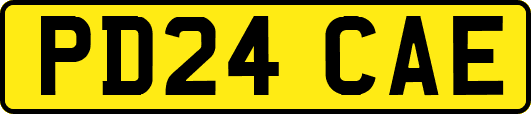 PD24CAE