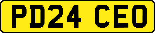 PD24CEO
