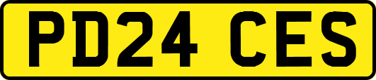PD24CES