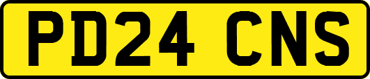 PD24CNS