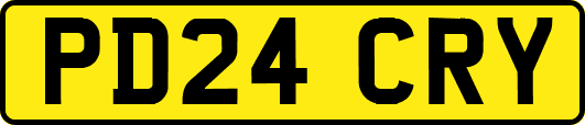 PD24CRY