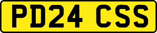 PD24CSS