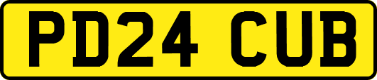 PD24CUB