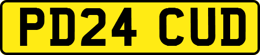 PD24CUD