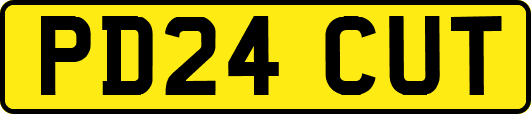 PD24CUT