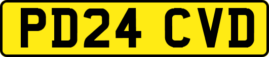 PD24CVD