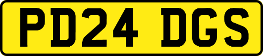 PD24DGS