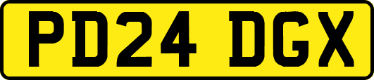 PD24DGX