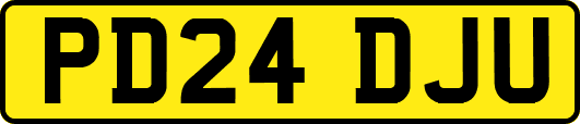 PD24DJU