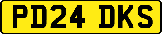 PD24DKS