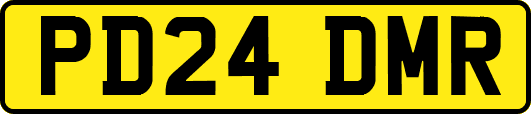 PD24DMR