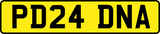 PD24DNA