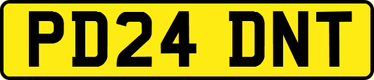 PD24DNT
