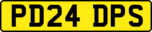 PD24DPS