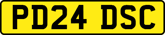 PD24DSC