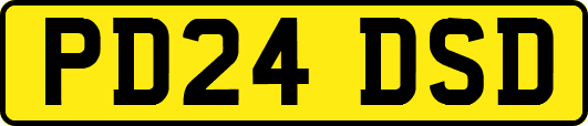 PD24DSD